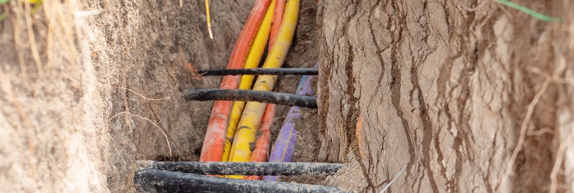 化肥檢測[專業可靠]