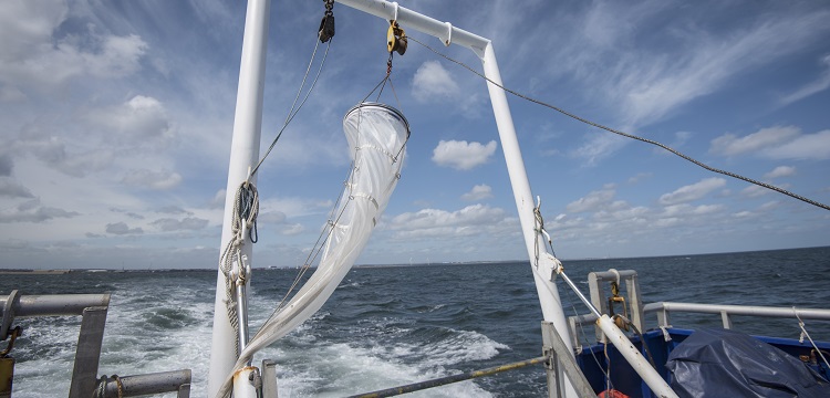 食品接觸材料檢測項目大匯總！