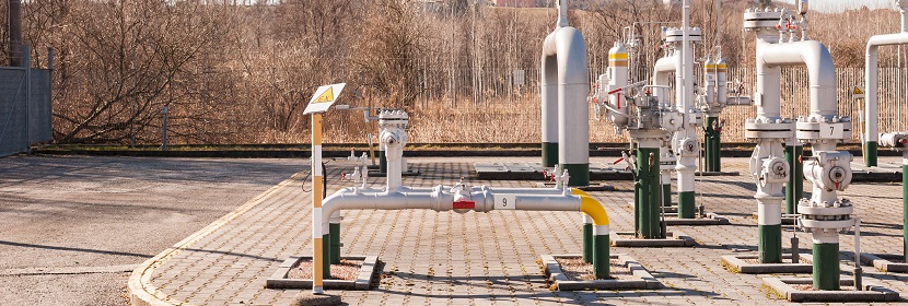 化妝品中的微生物檢測有什么意義,有哪些權威期刊可以學習 ?優質血清特點——Part3微生物檢測指標?健明迪