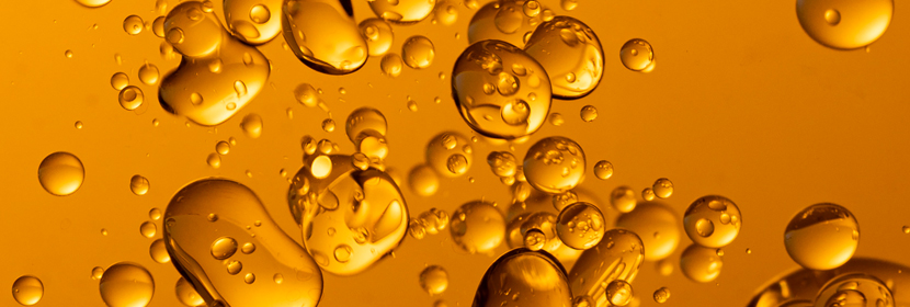 動(dòng)物油脂檢測(cè)