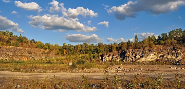 牡丹籽檢測,牡丹籽營養(yǎng)成分含量檢測