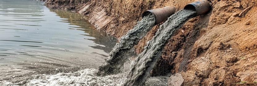 魚類延長(zhǎng)毒性14天試驗(yàn)