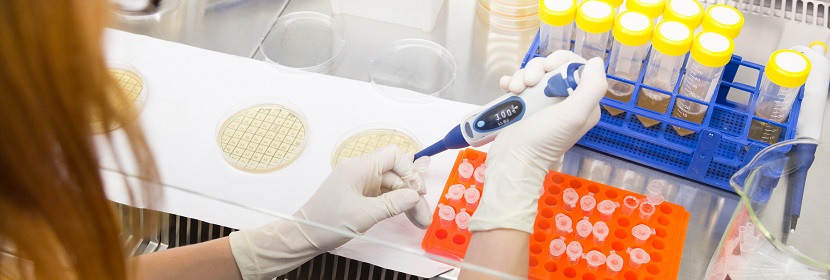 鎂質(zhì)膠凝材料制品用硫酸鎂檢測